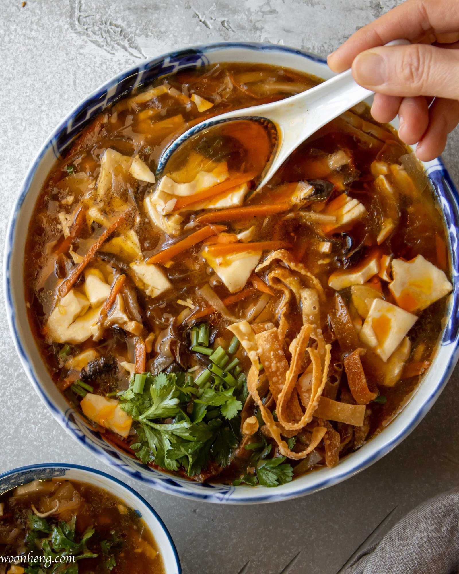 Hot & Sour Soup